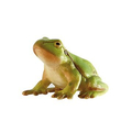 Figurina Broasca de copac Bullyland, image 1